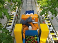 Newswise:Video Embedded completion-of-a-system-of-robots-that-use-teamwork-to-pick-fruit-and-transport-them-all-on-their-own