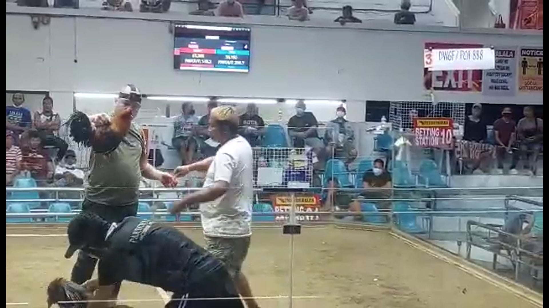10 Cock Derby Champion, Pasay City - Video 3