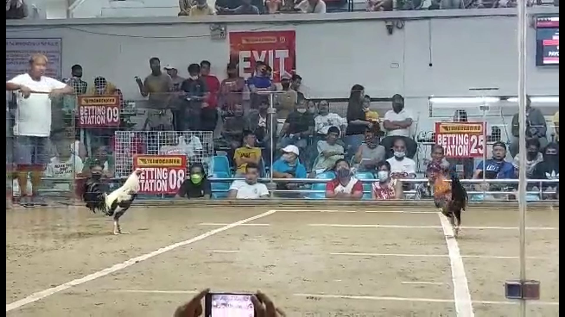 10 Cock Derby Champion, Pasay City -Video 7