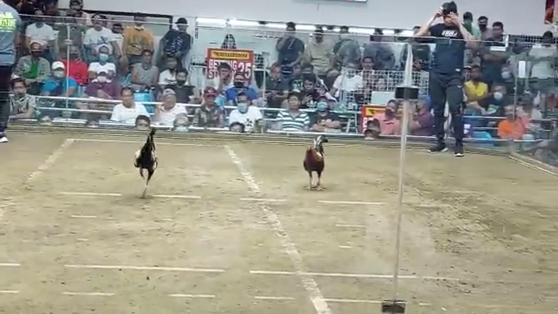 10 Cock Derby Champion, Pasay City -Video 9