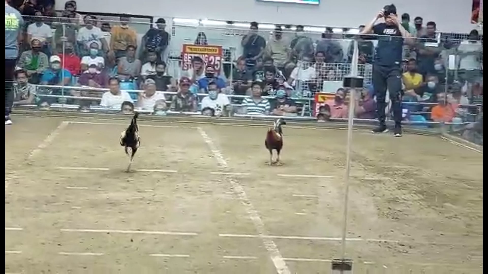10 Cock Derby Champion, Pasay City -Video 9
