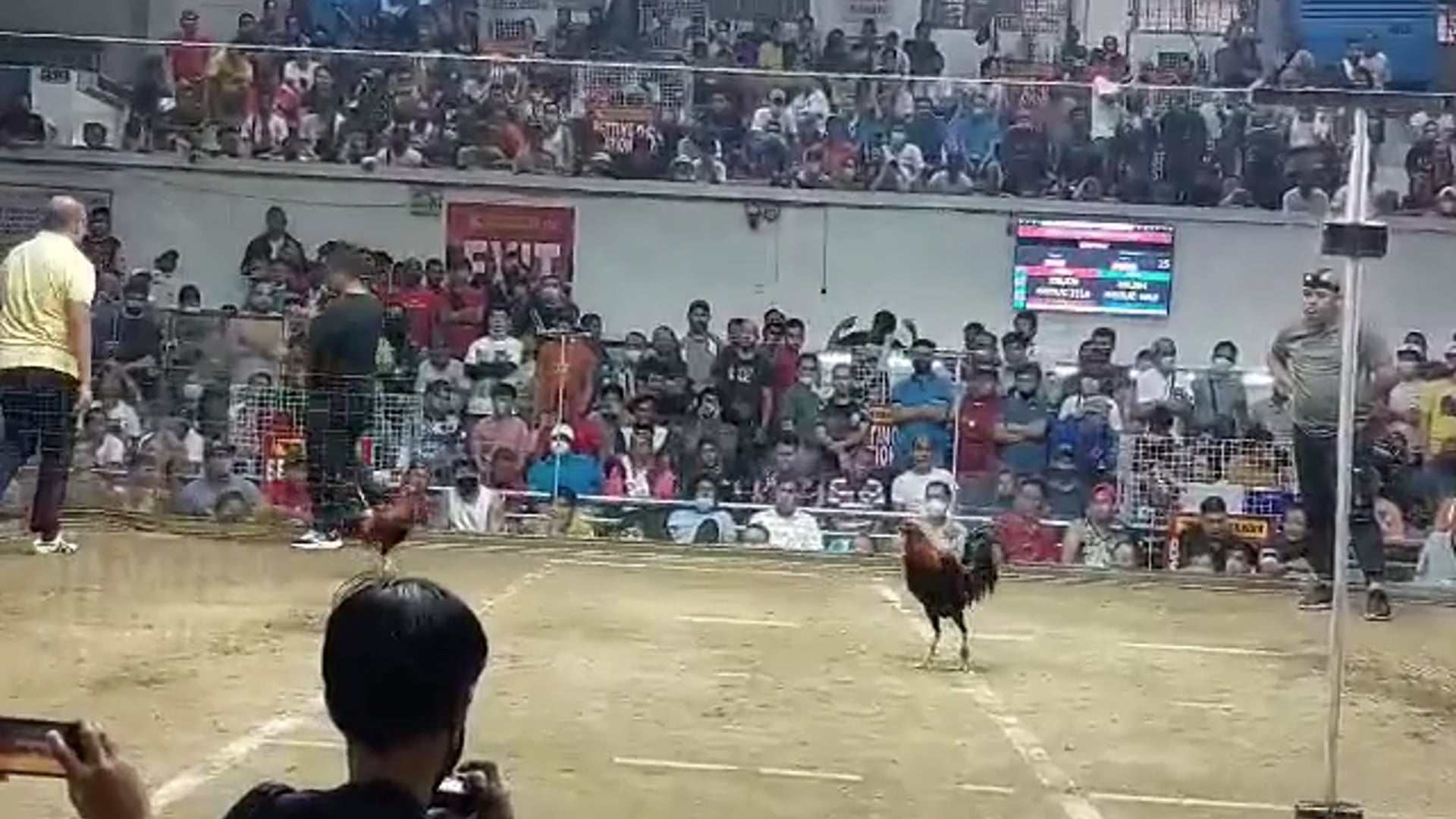 10 Cock Derby Champion, Pasay City -Video 6