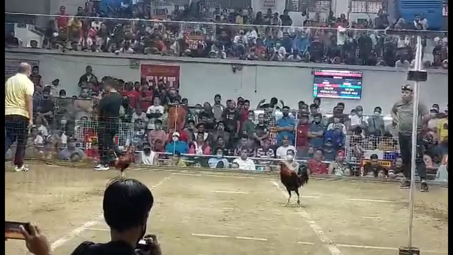 10 Cock Derby Champion, Pasay City -Video 6