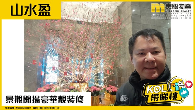 景觀開揚豪華靚裝修