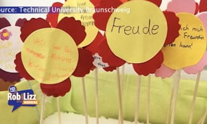 Happniess Course Taught in German Universities
