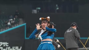 【救いたい…】一度は生で見てみたい『本日の“きつねダンス”報告』