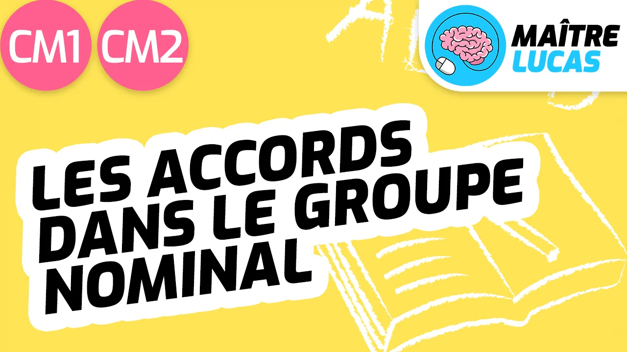 Accord Dans Le Groupe Nominal Ce2 L'accord en genre et en nombre dans le groupe nominal CM1 - CM2 - Cycle 3 -  Français - Orthographe on Vimeo
