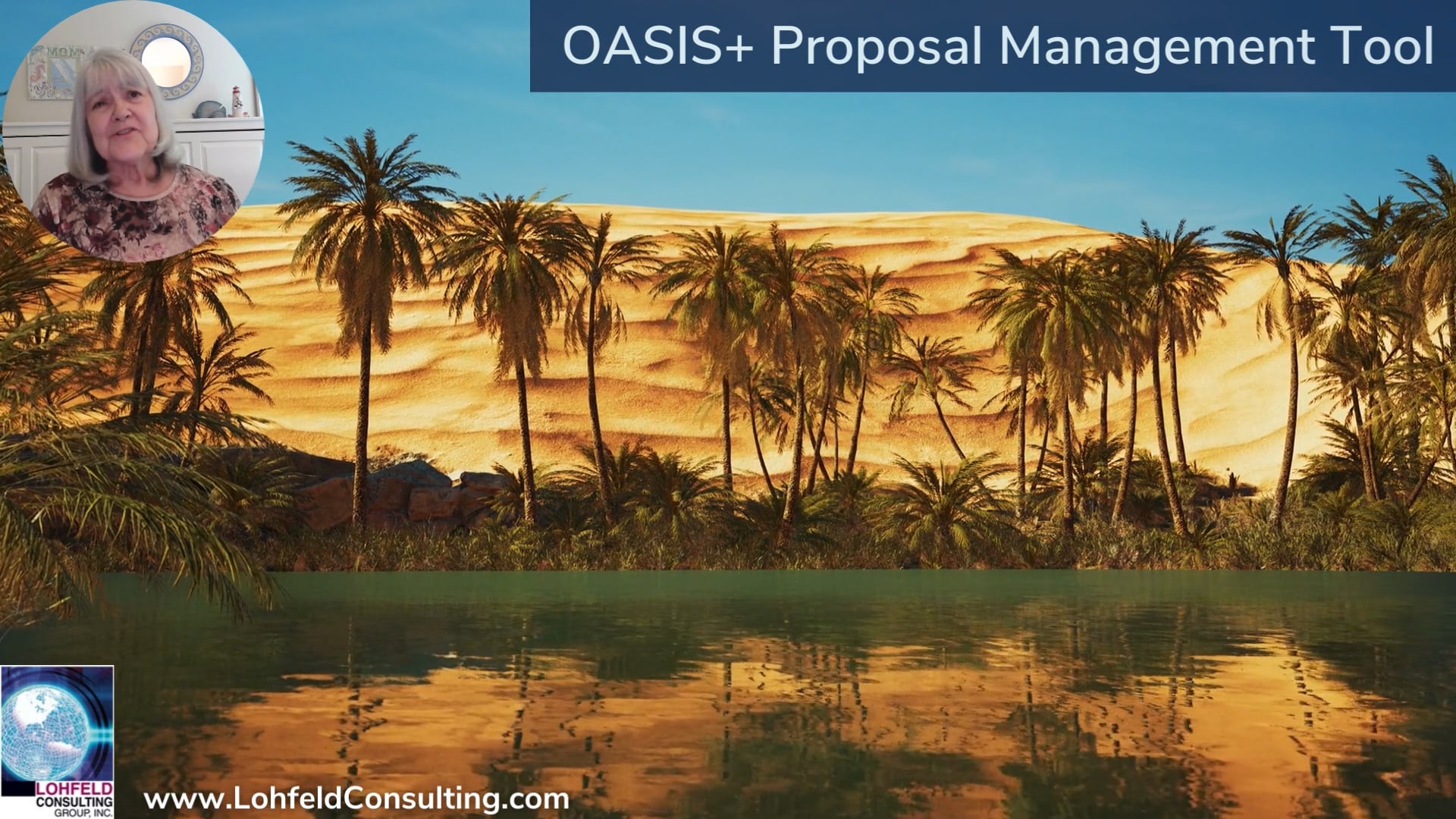 Lohfeld Consulting's Free OASIS+ Proposal Management Tool - UPDATED On ...