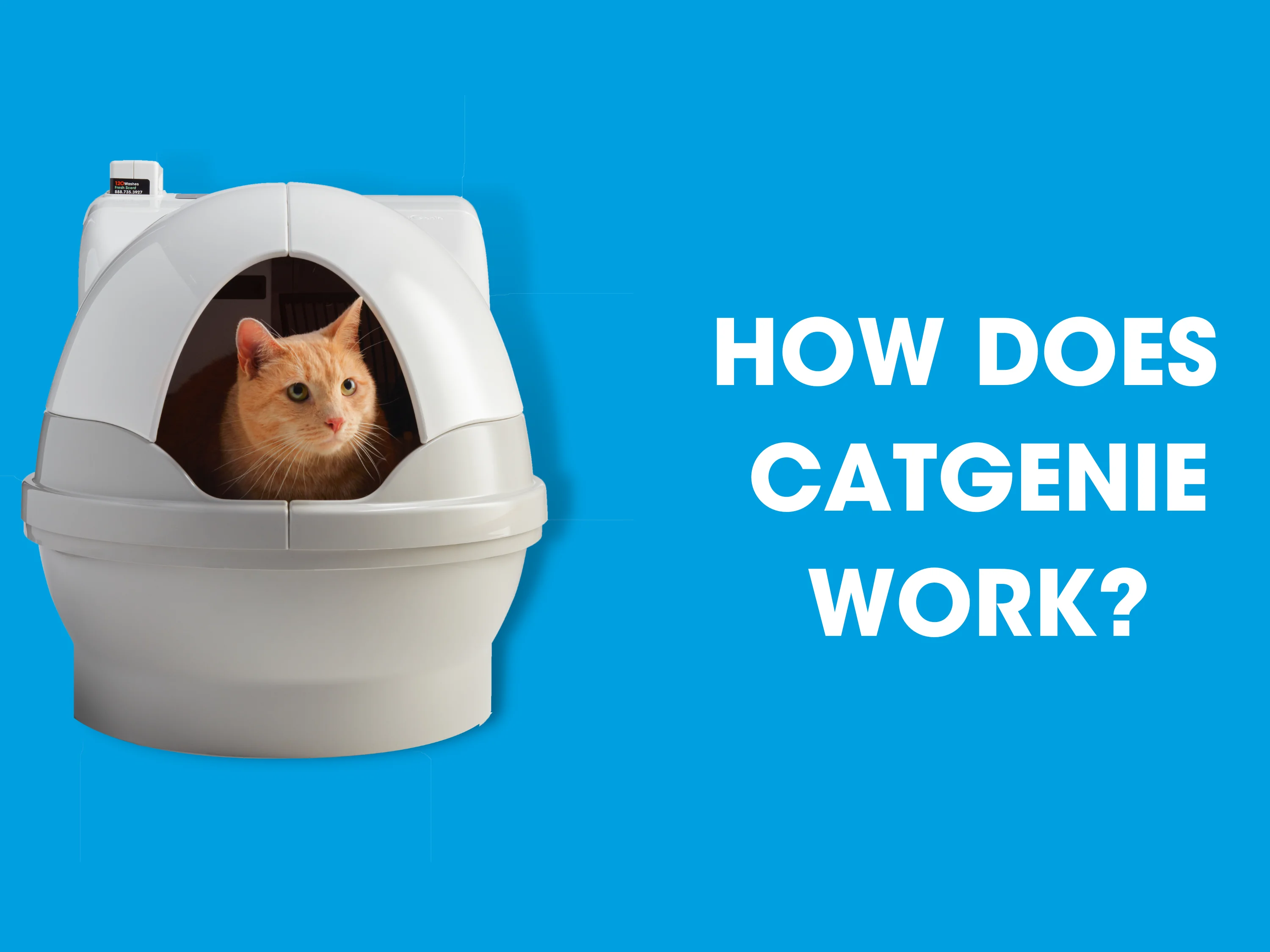 How the CatGenie A.I. Works