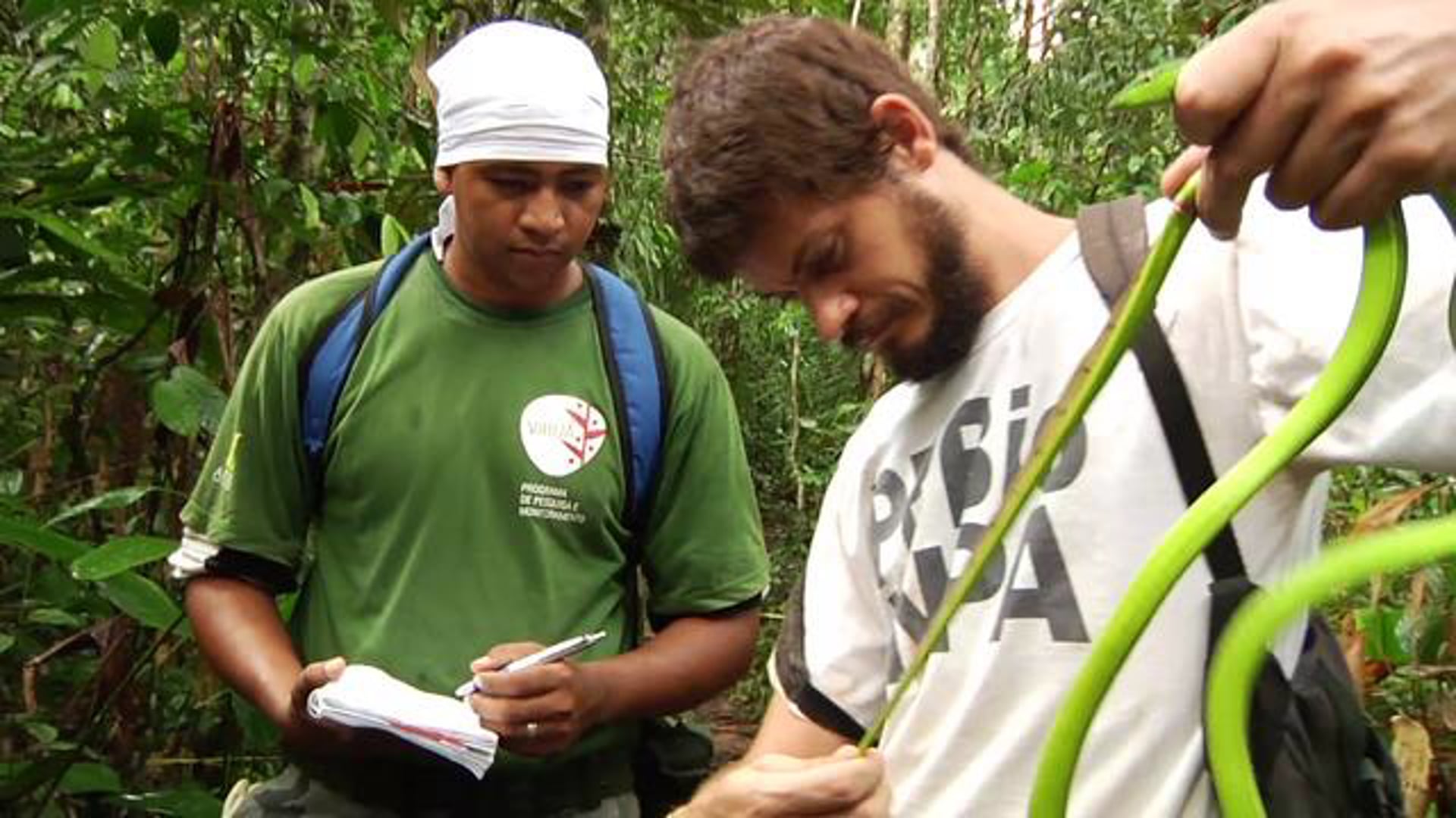 GEF - Brazil: Forests Forever (condensed)