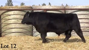 Lot #12 - LEHRKAMP INNOVATOR 1233J
