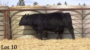 Lot #10 - LEHRKAMP INNOVATOR 1197J