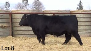 Lot #8 - LL RECKON 1230