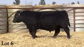 Lot #6 - LL REVERED 1192