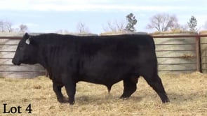 Lot #4 - LL RAINMAKER 1190