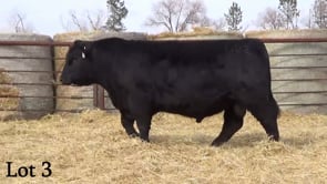 Lot #3 - CL WINDY 1182