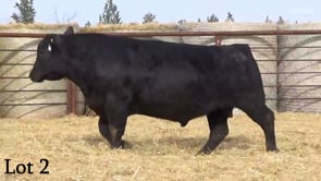 Lot #2 - LL AUTHORITY 1158