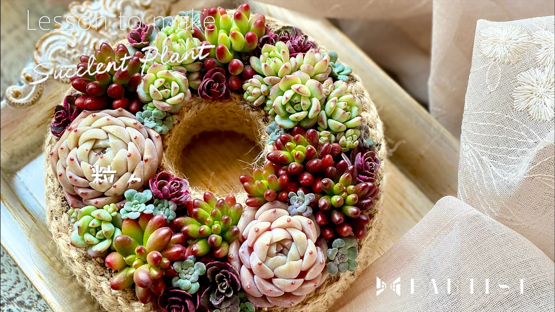 1回完結レッスン】多肉寄せ植え・粒々タルトのリースのやり方 | FANTIST
