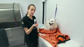 microbite Deshed drying tips