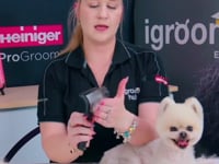 Related Embedded Video Item Thumbnail