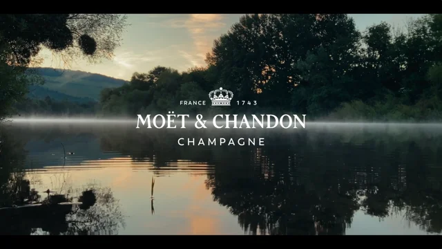 Buy Moët & Chandon Champagne Online @ Lowest Price in Australia - Dan  Murphy's