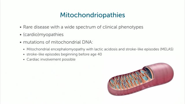 Case: mitochondriopaties and cardiac involvement