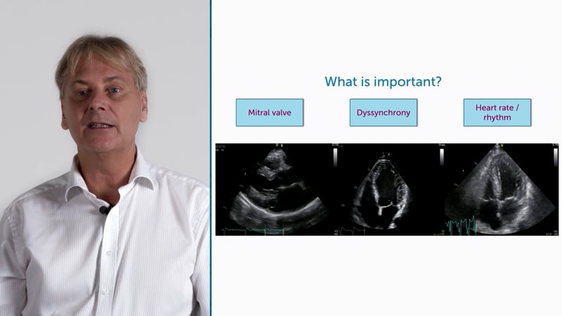 What are the influencing factors of diastolic dysfunction?