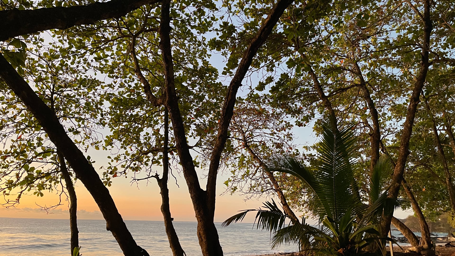 2023 February 15: The Ethics of Inner & Outer Speech