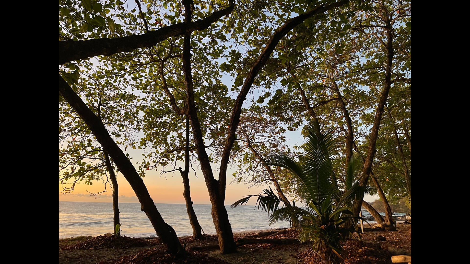 2023 February 15: The Ethics of Inner & Outer Speech