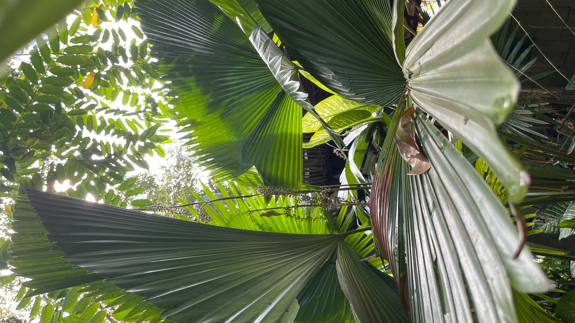 2023 February 20: The Second Precept of Sila: Refrain from Taking What is not Freely Offered