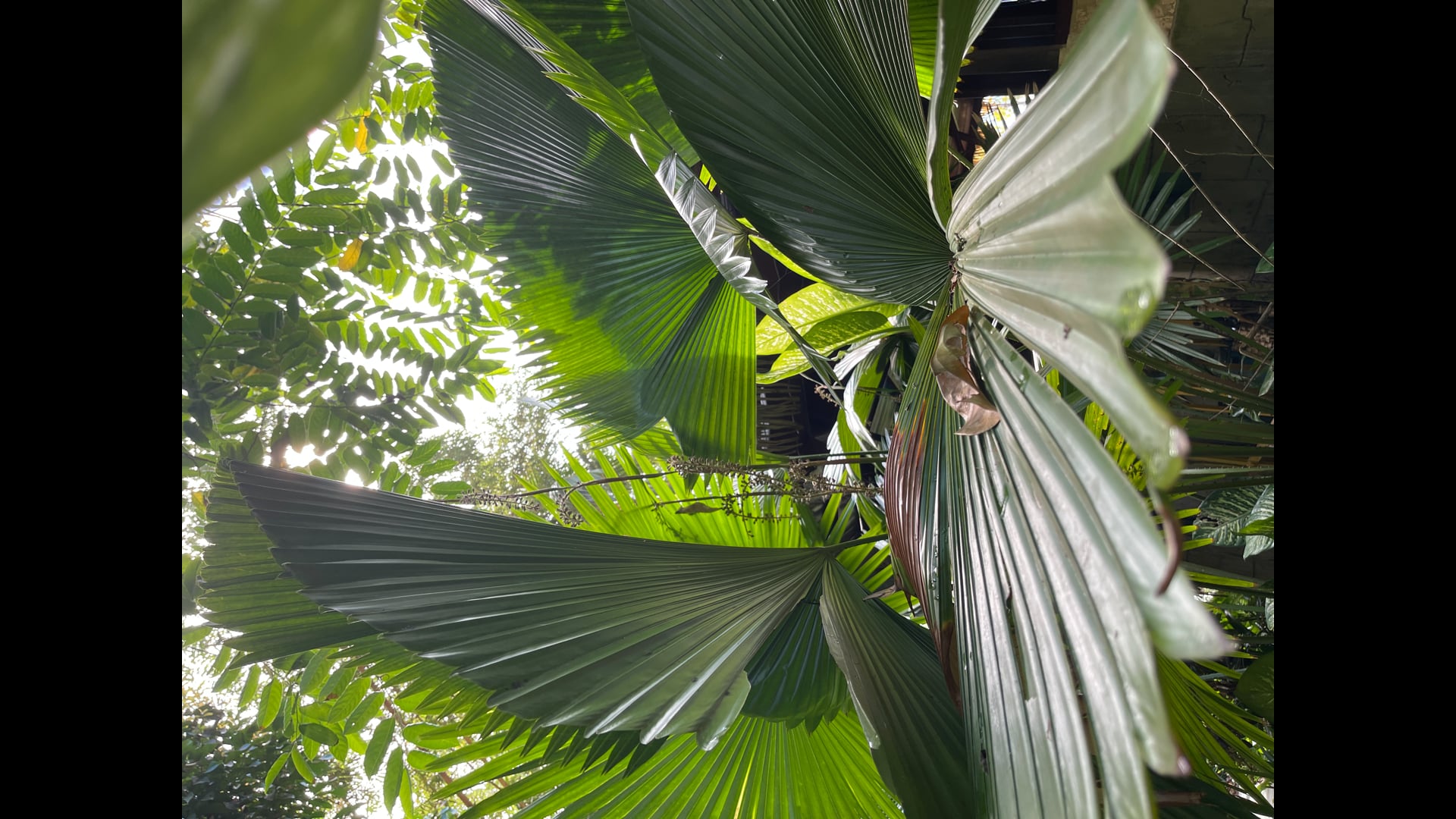 2023 February 20: The Second Precept of Sila: Refrain from Taking What is not Freely Offered