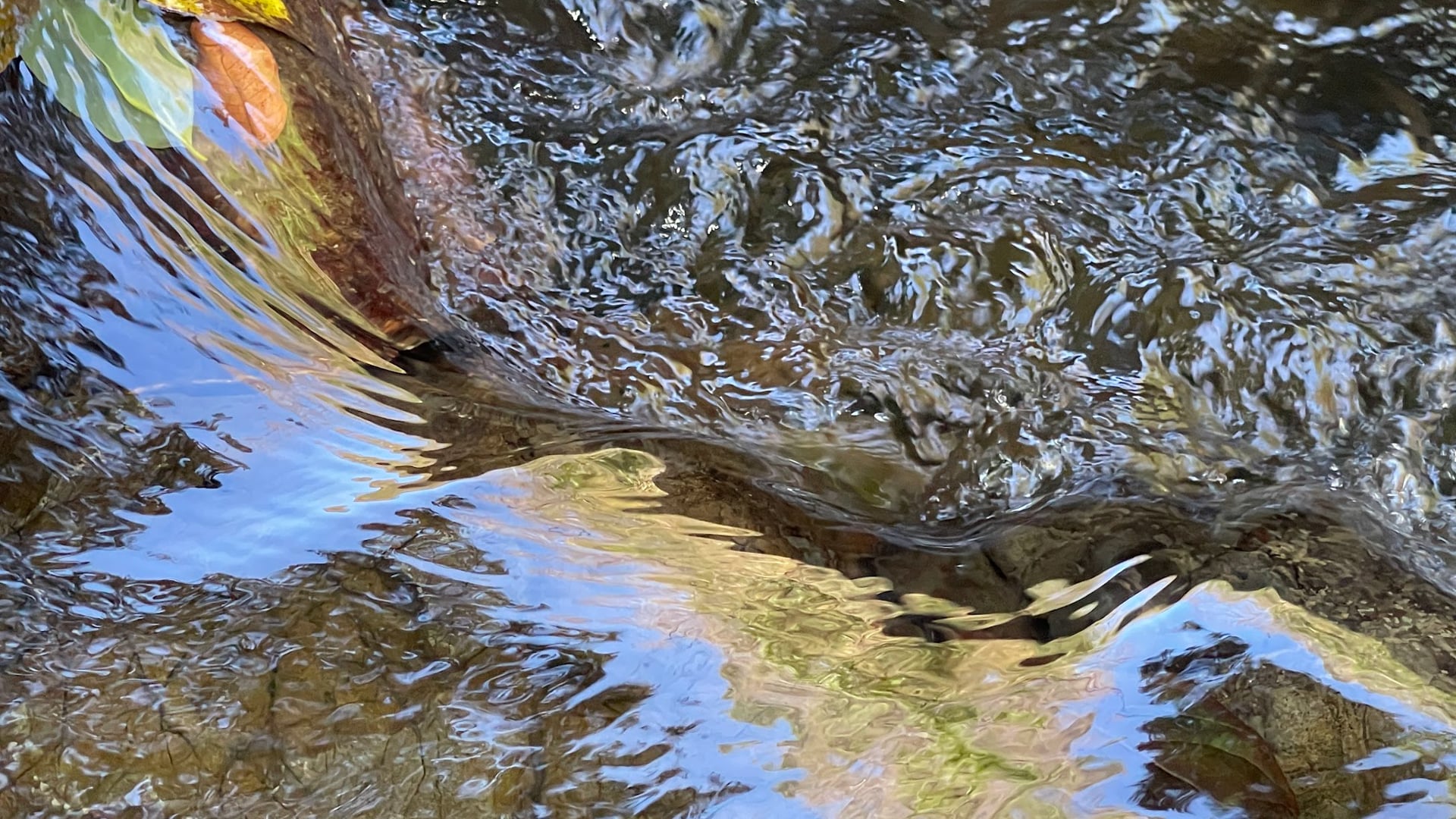 2023 March 06: Renunciation is the Art of Letting Go