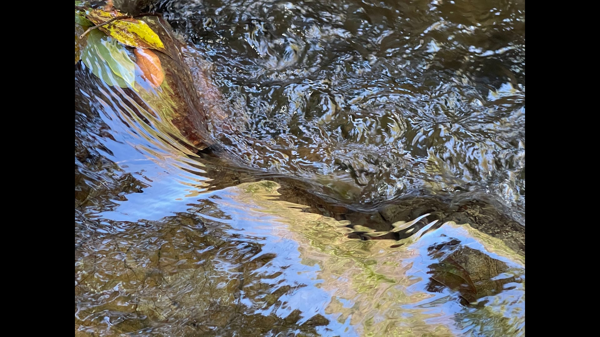 2023 March 06: Renunciation is the Art of Letting Go