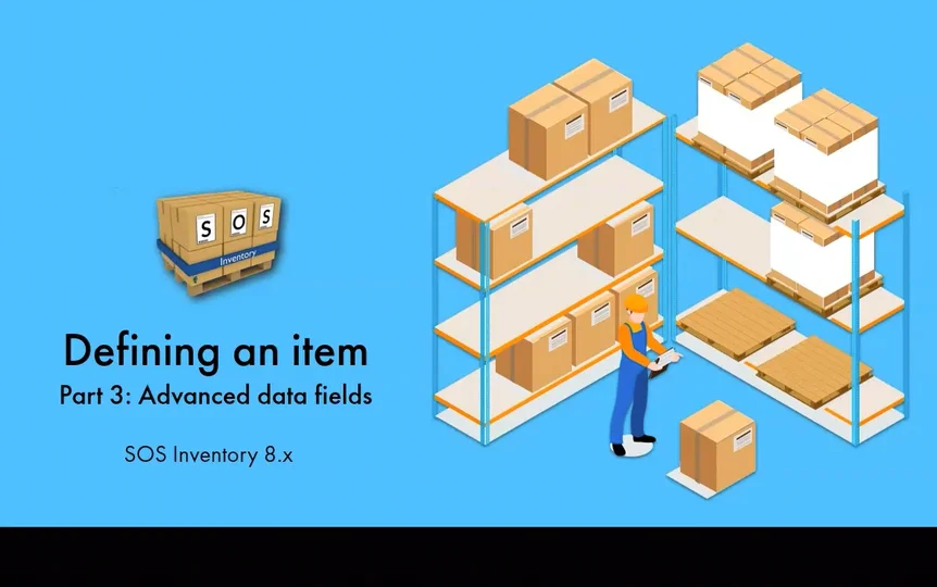 Defining an item, Part 3 Advanced data fields.mp4 on Vimeo