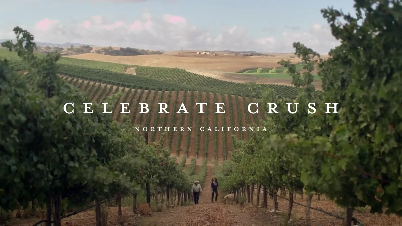 Celebrate Crush on Vimeo