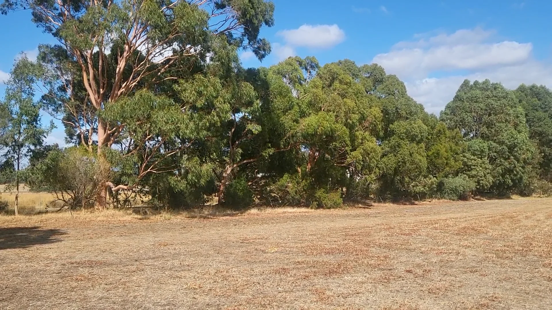 The Australian bush on Vimeo