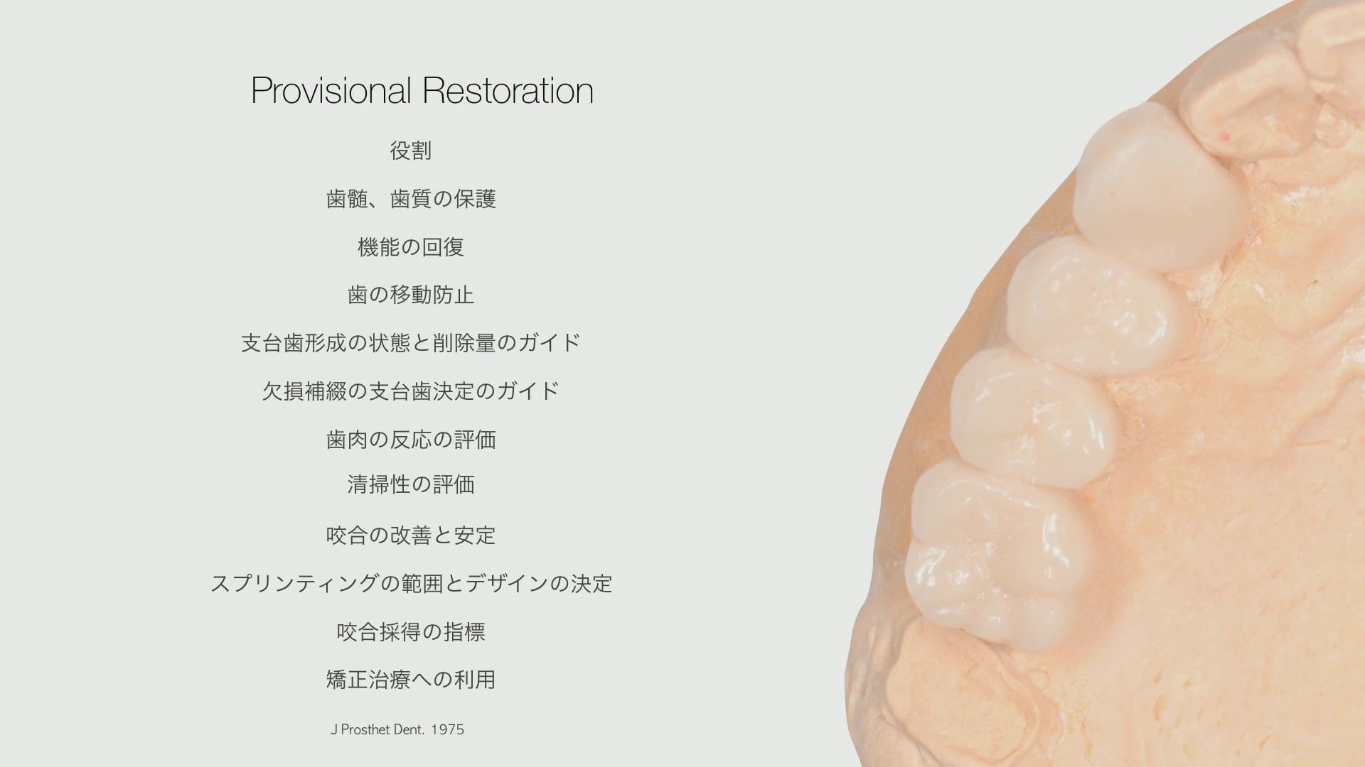 臨床知見録_プロビジョナル_11個の役割