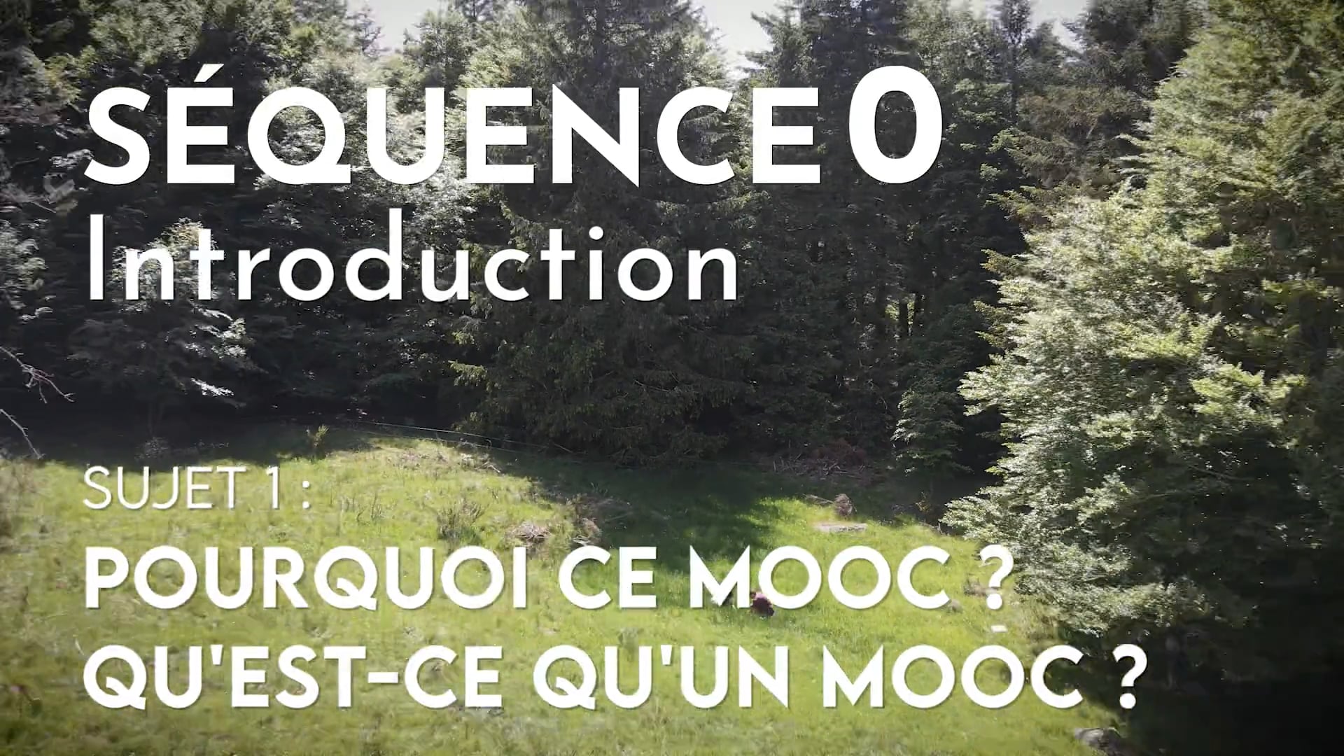 01-mooc-botanique-2-les-plantes-et-leurs-usages-s-quence-0-sujet