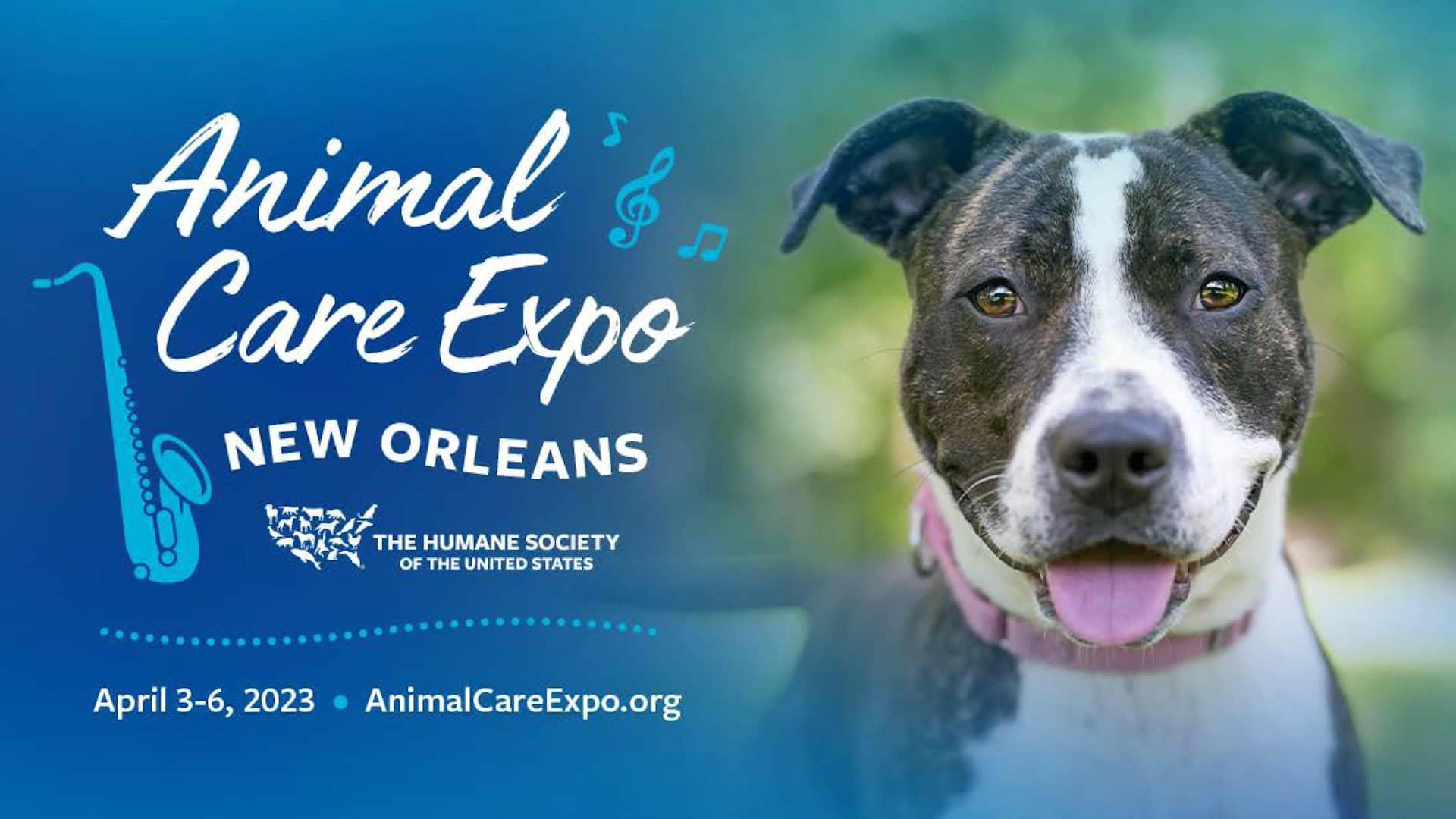 Animal Care Expo 2023 Promo on Vimeo