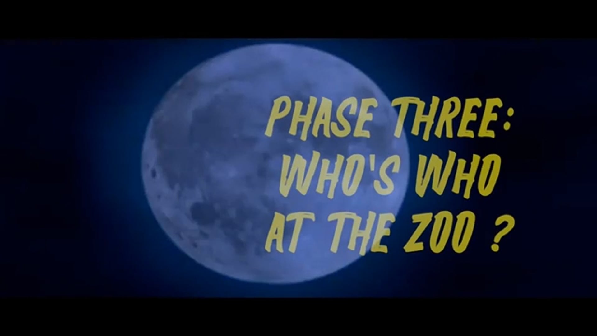 Excerpt from Video Essay: 'Queer Wolves and Wolf-Girlz and Were-Bears - Oh My !'