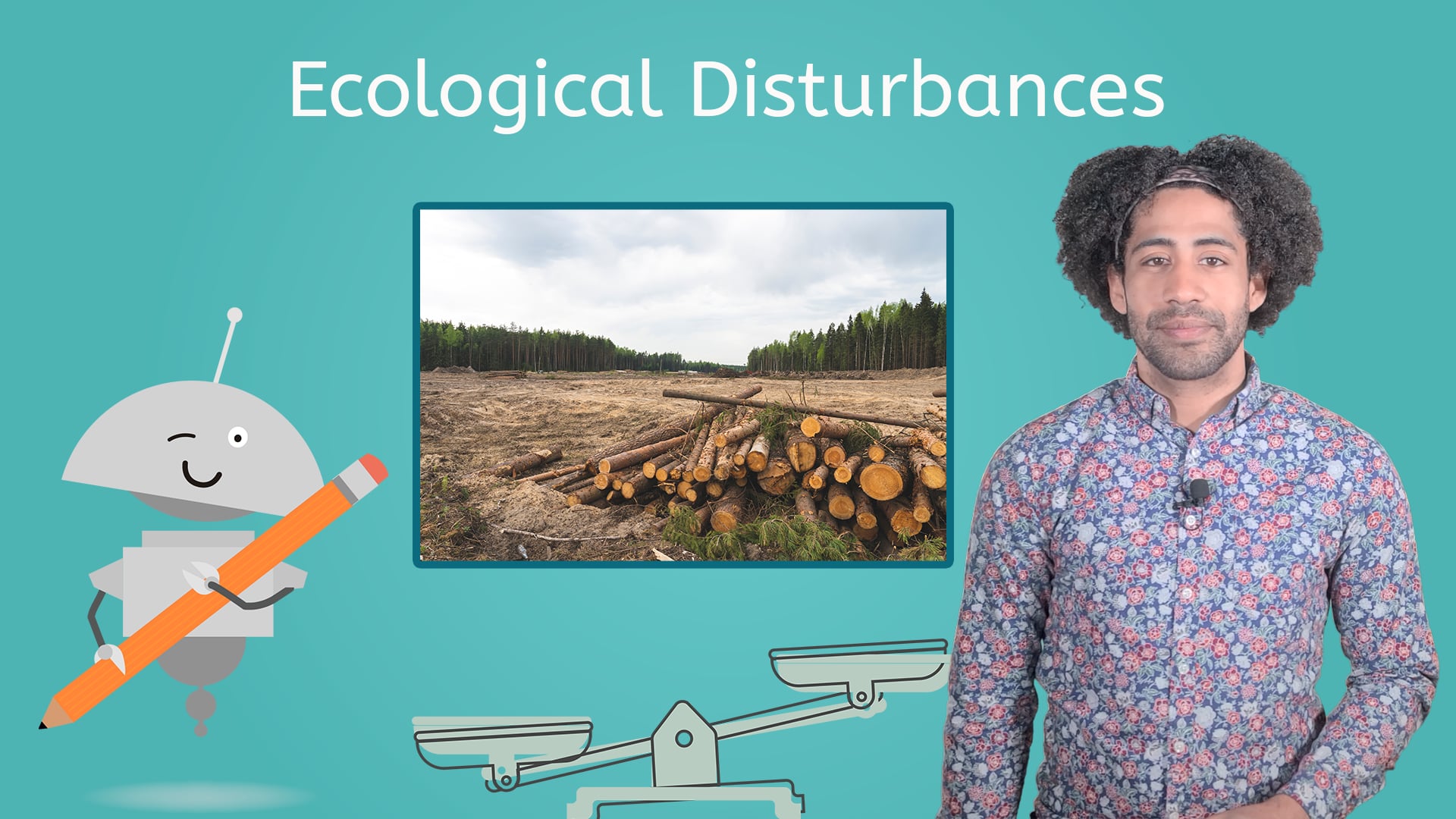 ecological-disturbances-on-vimeo