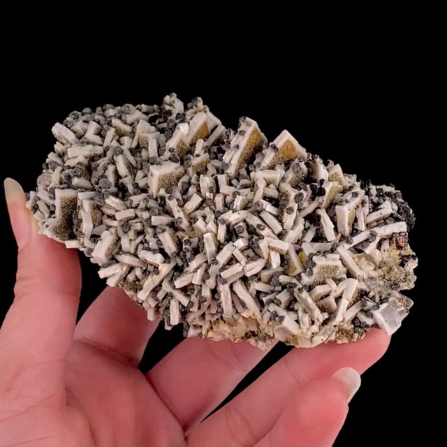 Baryte (fine specimen) (rare locality) White Raven Mine, Boulder Co., Colorado, USA