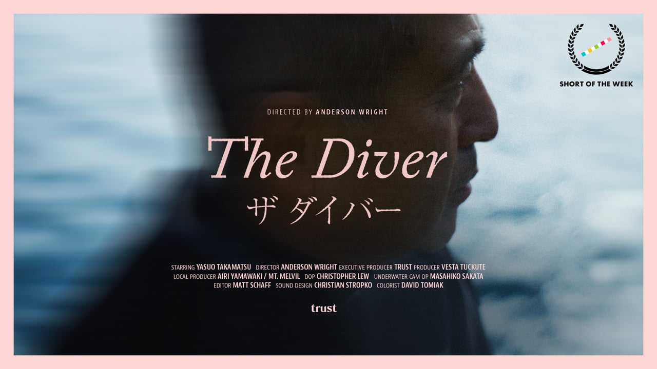 The Diver | Anderson Wright