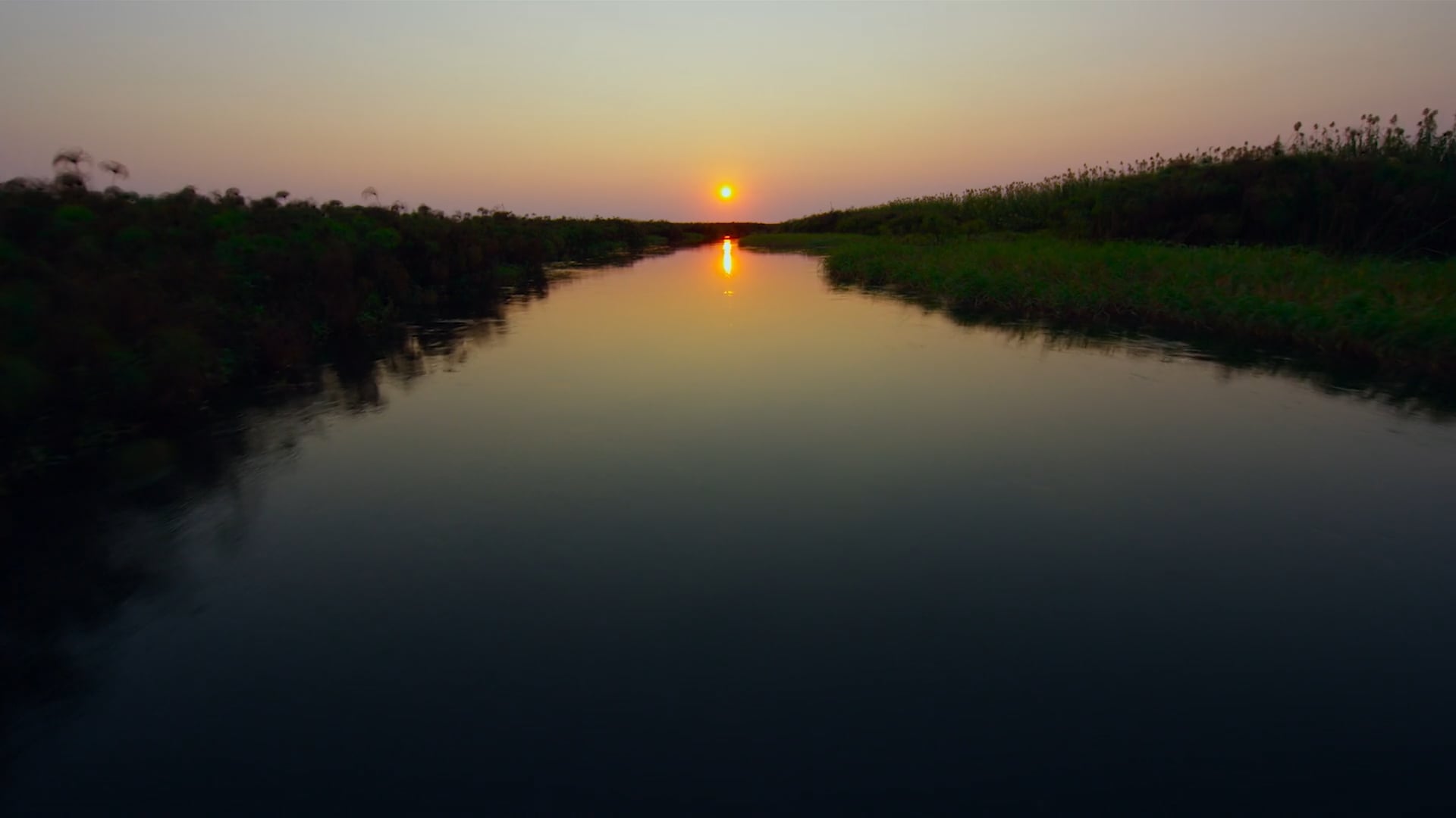 Nat Geo - Into the Okavango "Wildlife Destruction" Social Media Trailer