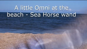 Thru the Lens - Omni Crystal Seahorse