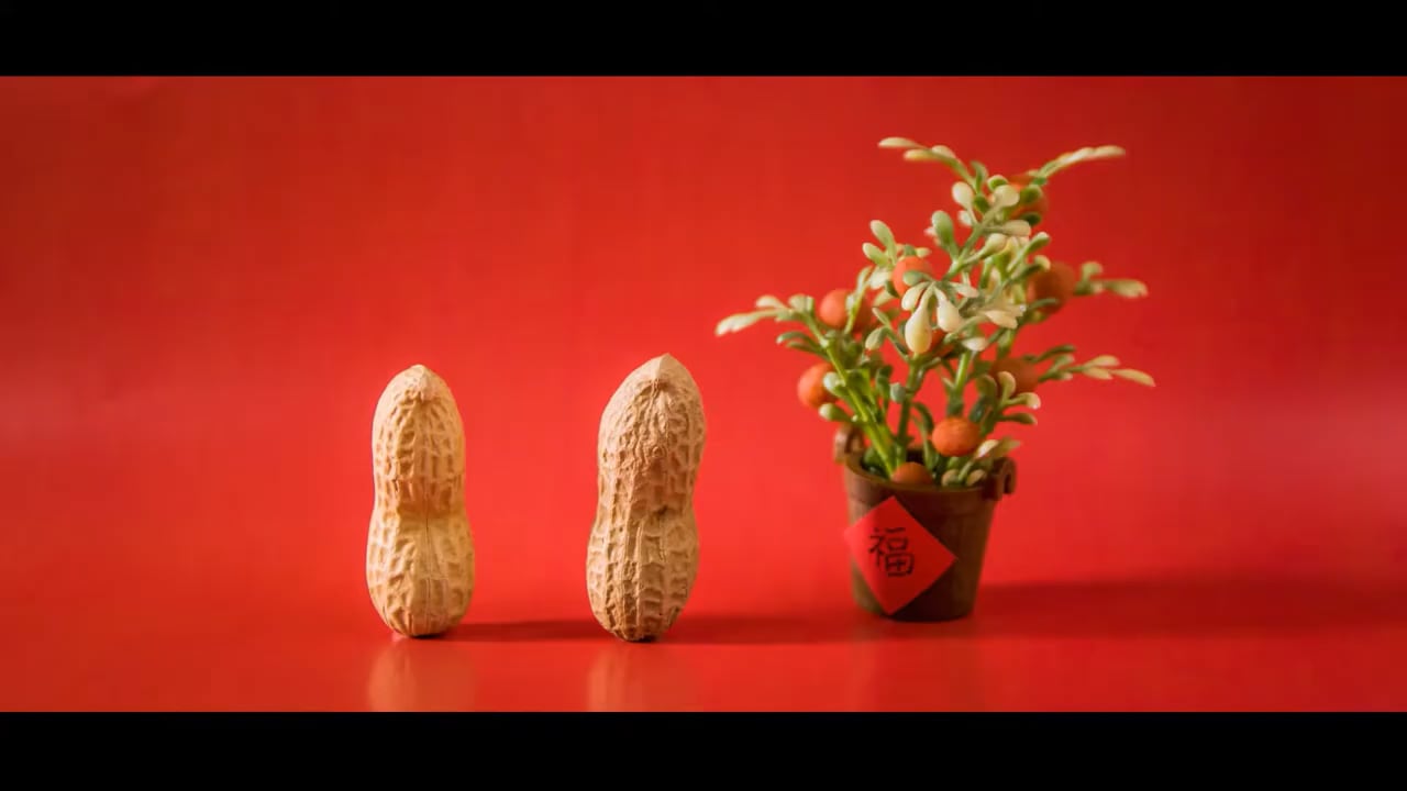 Chinese New Year 2018
