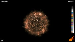 Particle Flow Toolboxes (by Orbaz)