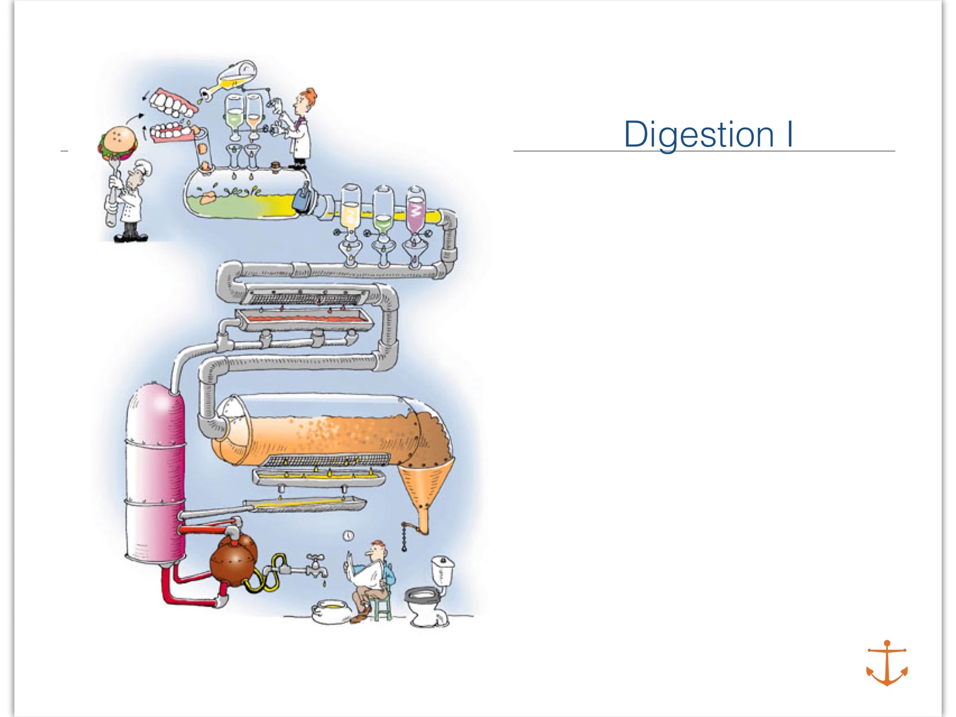Day 3 Digestion 1 | Videos & Movies on Vimeo