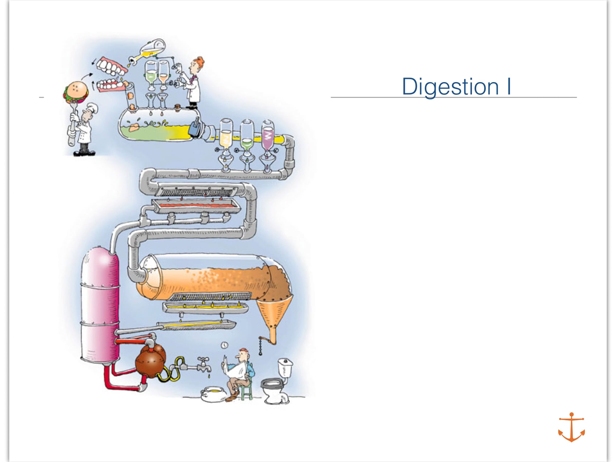 Day 3 Digestion 1 | Videos & Movies on Vimeo