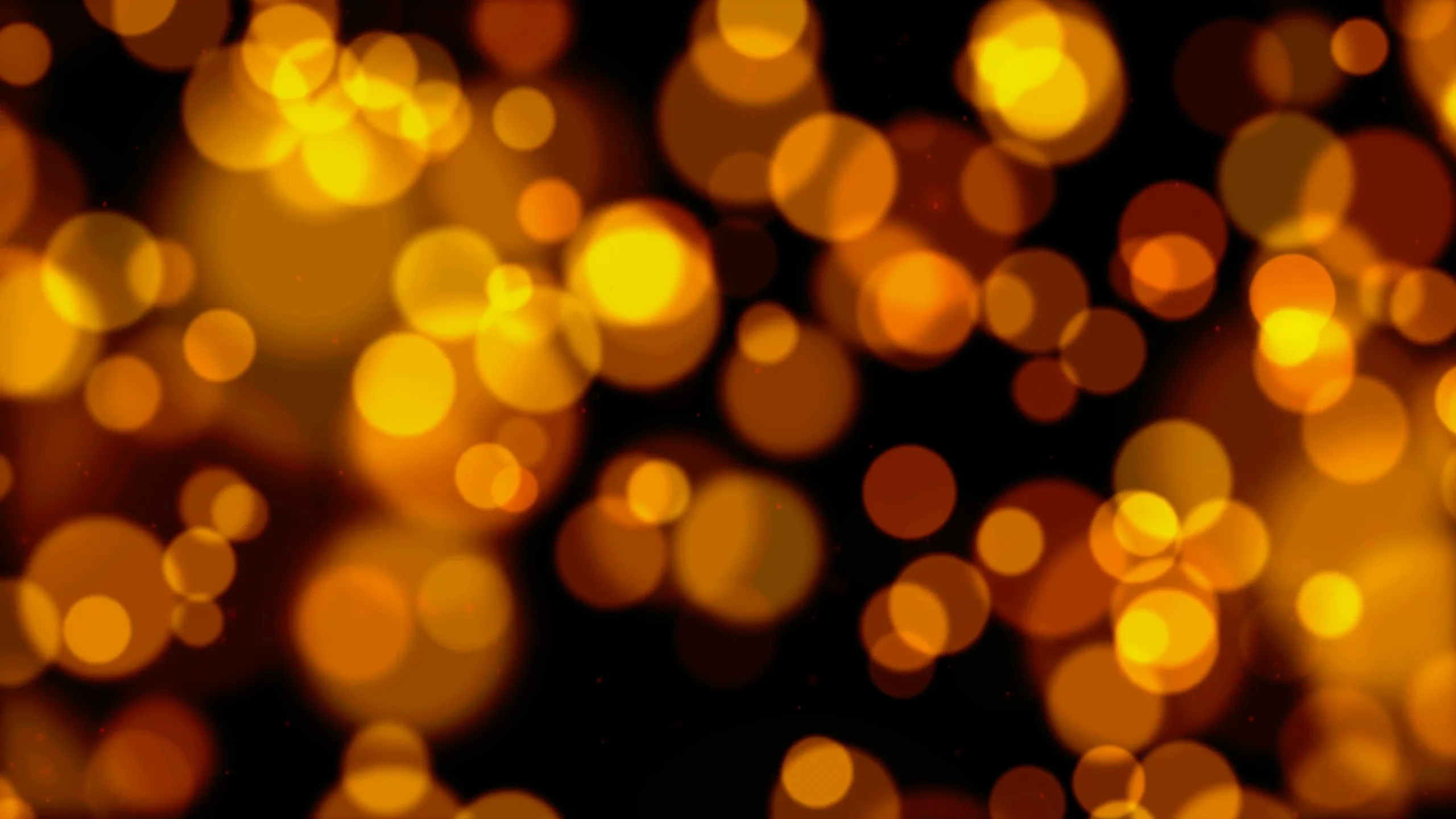 Light 18702 mp4